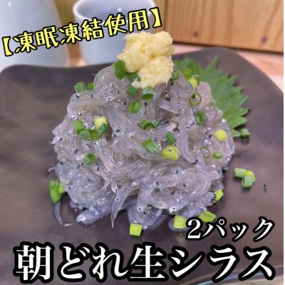 ふるさと納税 小田原市 新鮮!朝どれ 生しらす 小 2パック【凍眠凍結使用】【神奈川県小田原市早川】