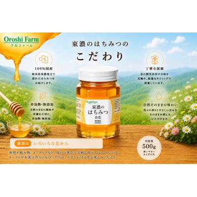 ふるさと納税 土岐市 東濃のはちみつ　百花　500g