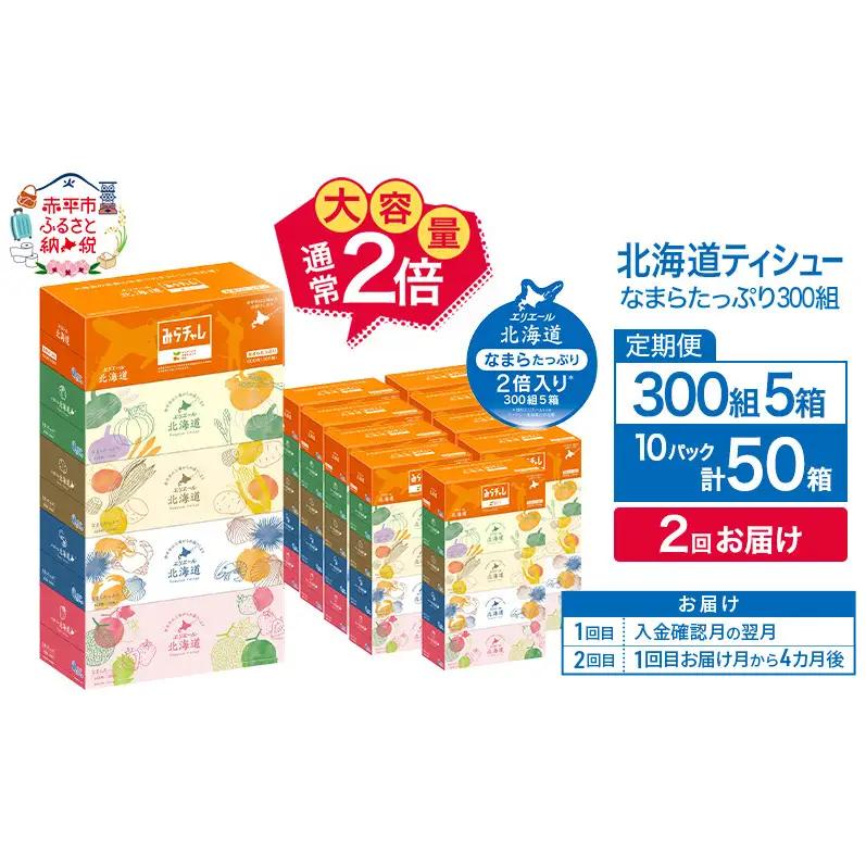 ティッシュ エリエール 北海道なまらたっぷり大容量 ティッシュ【計100箱】【2回定期便】