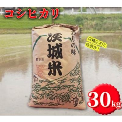 ふるさと納税 石岡市 【令和7年産】獅子米 コシヒカリ 玄米 30kg