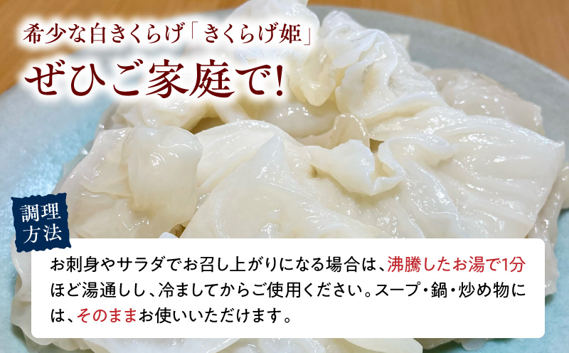 白いきくらげ「きくらげ姫」(生タイプ)800g きくらげ 白いきくらげ 木耳