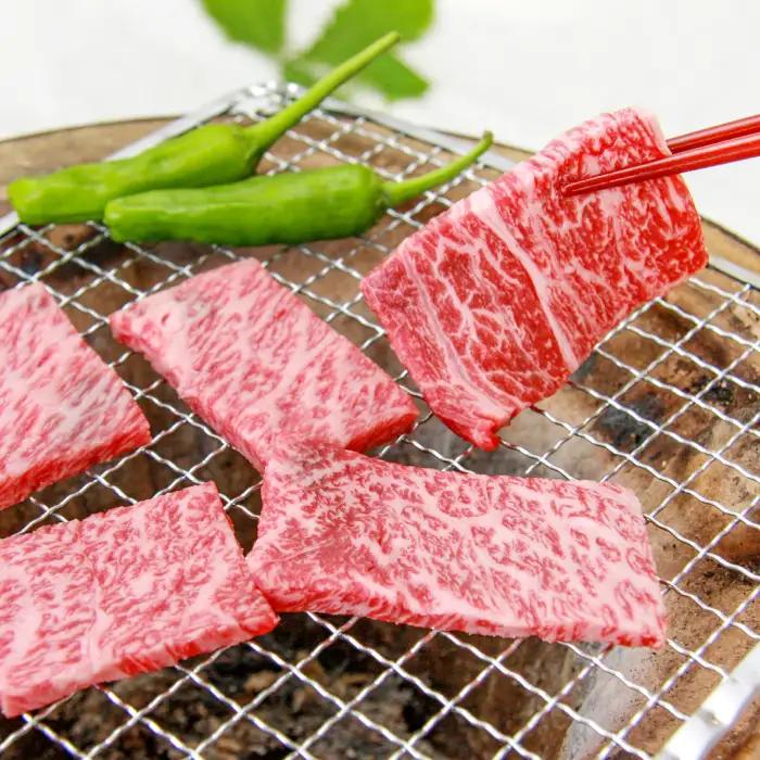 奥出雲和牛赤身焼肉用450g 【肉質日本一!しまね和牛 黒毛和牛 贈答用 冷蔵 チルド 日時指定】