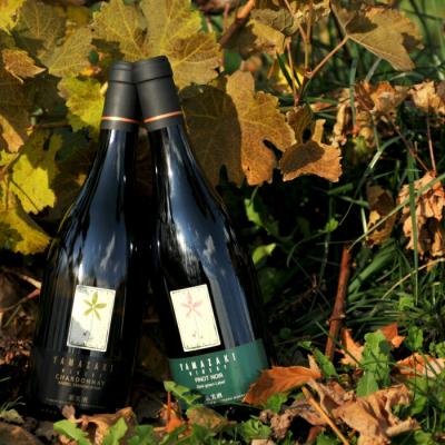 ふるさと納税 三笠市 三國シェフ推奨!山崎ワイン(赤・白2本セット)各750ml【01008】 |  | 01