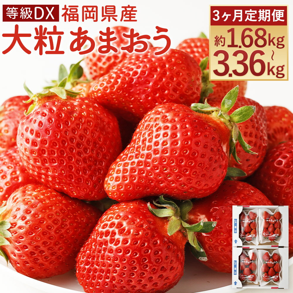 【ふるさと納税】【3ヶ月定期便】事前受付 大粒あまおう 等級DX 約1.68kg(2パック×3回)/約3.36kg(4パック×3回) 選べる内容量 1パック約280g 3ヶ月 定期便 いちご 苺 フルーツ 果物 先行受付 事前予約 福岡県産 冷蔵 送料無料【2026年1月上旬より順次発送予定】