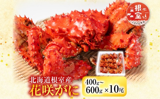 
                  D-36007 【北海道根室産】花咲かに400～600g×10尾
                