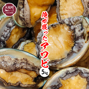 【2026年11月～12月発送】活アワビ 5kg ( 35個前後) ※アワビヘラ＆軍手付き※【期間限定】【35】｜冷蔵 三陸 岩手県 大槌町 あわび 人気 鮑 いわて iwate 2026 初栄丸
