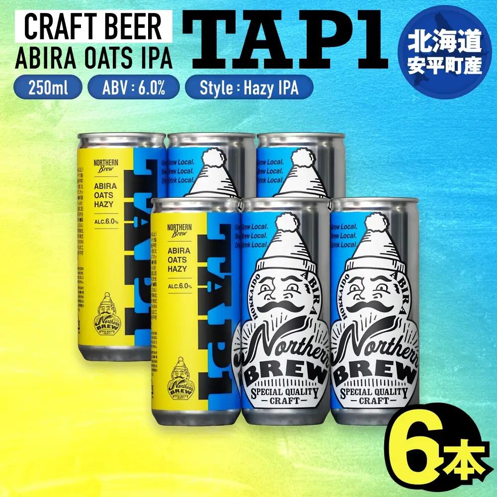 クラフトビール NORTHERN BREW ＜ TAP1(ABIRA OATS HAZY) ＞ 6本 250ml 北海道 安平町 ビール 地ビール 缶ビール 人気 定番 ギフト