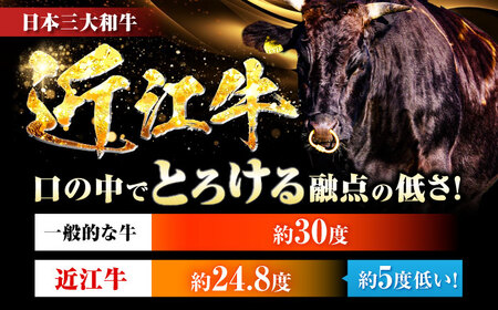 近江牛切り落とし 500g BIBE026 切り落とし
