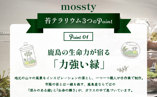 H-53　苔テラリウム　手入れ簡単 癒やしのインテリア 卓上サイズ 誕生日 プレゼント雑貨 敬老の日 贈り物 観葉植物 初心者 鹿島市産 / mossty