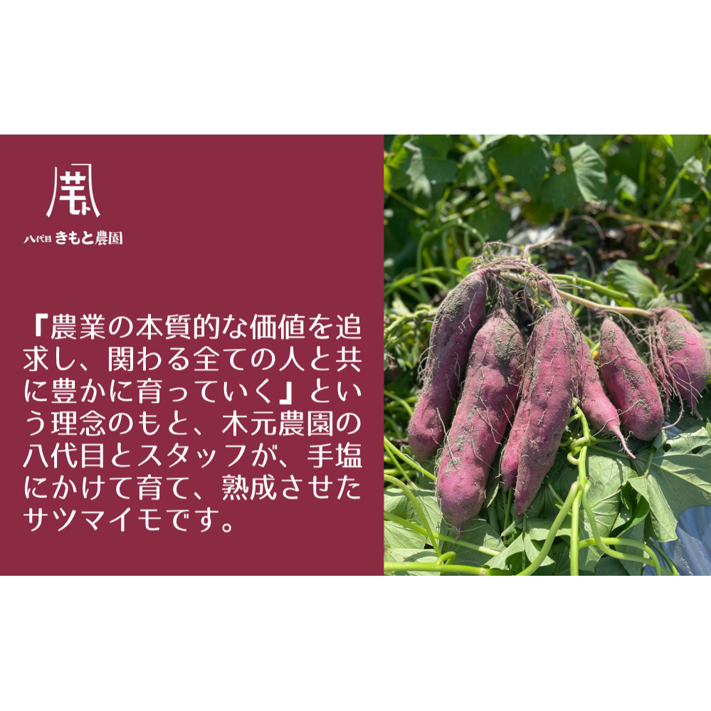 【木元農園】八代目の なると金時 約3kg 【 予約受付中・2024年11月頃より順次発送 】 | 鳴門金時 甘い ホクホク 熟成 産地直送 スイーツ おやつ 焼きいも 天ぷら 干し芋 スイートポテト