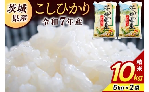 精米 コシヒカリ 10kg (5kg × 2袋)【令和7年産】米 精米 白米 こしひかり 茨城県 鹿嶋市 国産 送料無料 お米 ごはん おにぎり 冷めても 美味しい 粘り うまみ 厳選 出荷直前精米 ツヤ かおり うまい（KY-1）