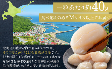 北海道産　ほたて　Mサイズ以上　500g ほたて ほたて ほたて ほたて ほたて