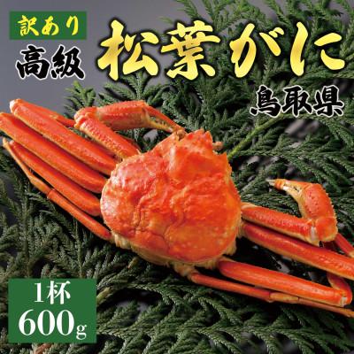 ふるさと納税 北栄町 【ボイル】《訳あり》厳選松葉がに 600g以上×1杯 2025年11月発送 N31_Y