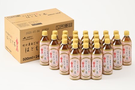 [J023]【定期便】能登のはとむぎ茶（500ml)24本セット×12回コース