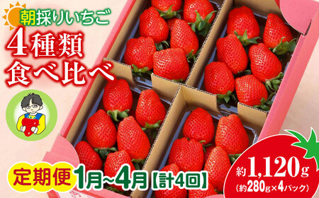 【2026年 先行予約】＜定期便1月～4月＞ いちご 4種類食べ比べ 約280g×4パック 1120g 計4回 | いちご いちご いちご いちご いちご