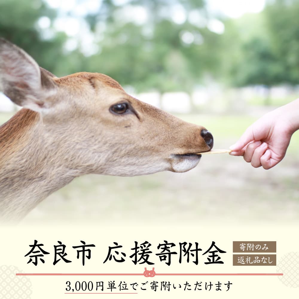 【ふるさと納税】奈良県奈良市応援寄付金(3000円単位でご寄付いただけます)　返礼品なし 寄附のみ 【 支援 応援 自治体支援 お礼の品なし 奈良県 奈良市の発展 ふるさと応援 ふるさと支援 】