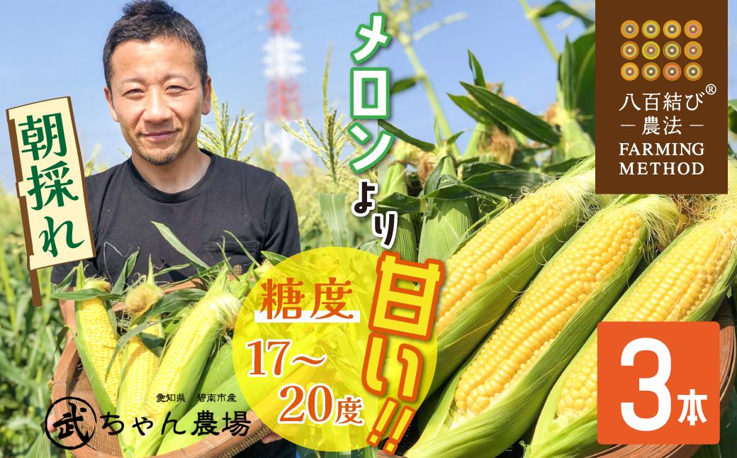 
            【2025年発送】朝採り直送 メロンより甘い 生とうもろこし“にっこりコーン” 3本 H095-028
          