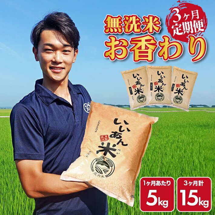 【ふるさと納税】≪3ヶ月定期便≫ 無洗米 お香わり（山形95号） 5kg×3ヶ月連続 計15kg 山形県庄内産 ご希望期間の毎月中旬頃にお届け 米 お米 精米 白米 定期便