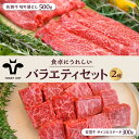 【ふるさと納税】【牧場直送】佐賀牛 食卓にうれしいバラエティ セット（切り落とし 500g＆サイコロステーキ 食べ比べ 300g）詰め合わせ 牛肉 肉 お肉 セット 食べ比べ 和牛 ステーキ 切落し【有限会社佐賀セントラル牧場】 [IAH201]