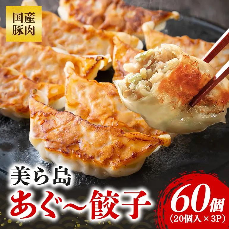 美ら島あぐー餃子 60個セット 20個入×3パック 絶品 こだわり 豚 肉 国産 ごはん おかず お弁当 冷凍 ぎょうざ ギョウザ 小分け BBQ ギョーザ 惣菜 晩酌 ギフト 手作り 生餃子 豚肉 冷凍食品 おつまみ 冷凍餃子 ブランド豚 総菜 中華 焼き餃子 沖縄県 糸満市 61-25