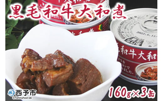 ＜こだわり缶詰 黒毛和牛大和煮 160g×3缶＞ 加工品 お肉 ビーフ お惣菜 おかず おつまみ 煮物 保存食 長期保存 備蓄 手軽 簡単 アール・シー・フードパック 特産品 愛媛県 西予市【常温】『