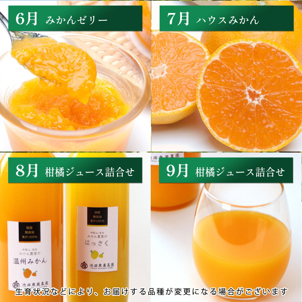 厳選 柑橘定期便S（毎月）全12回［IKE285］