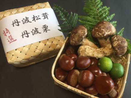 [先行予約]期間・数量限定 極上 丹波松茸 丹波栗 詰め合わせ＜京都・八光館＞ ※2024年10月中旬以降発送予定  ※北海道・沖縄・北東北（青森、岩手、秋田）・その他離島配送不可