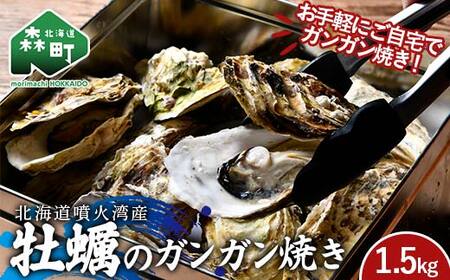 北海道噴火湾産 牡蠣のガンガン焼き 1.5kg 海産物 加工品 ほたて 帆立 ホタテ 魚介類 海鮮 森町 ふるさと納税 mr1-0982