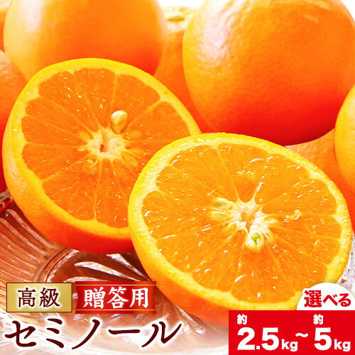 【ふるさと納税】柑橘 高級 セミノール 贈答用 選べる 内容量 約 2.5kg 約 5kg 主井農園《4月下旬-5月下旬頃出荷》 和歌山県 日高町 セミノール 柑橘 高級 贈答用 贈り物 みかん オレンジ プレゼント ギフト 記念日 送料無料
