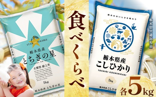 栃木県産 お米食べ比べ コシヒカリ とちぎの星 合計10kg  | 2025年 2025年米 令和7年米 秋 白米 ごはん ご飯 小分け 人気 おいしい 旨い おにぎり おむすび お弁当 限定 栃木県共通返礼品 栃木県 下野市 送料無料