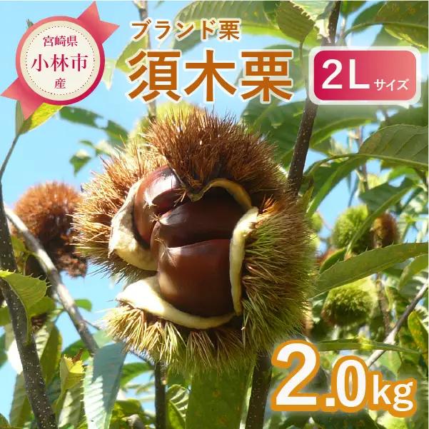 栗 【先行予約】「須木栗」2Lサイズ 2kg程度（生栗 マロン ブランド栗 果物 フルーツ 秋 旬）