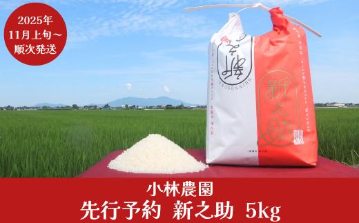先行予約 新米 新之助 5kg 新潟県産 令和7年産 2025年産 新之助（しんのすけ）令和7年度 [小林農園]  【010P079】