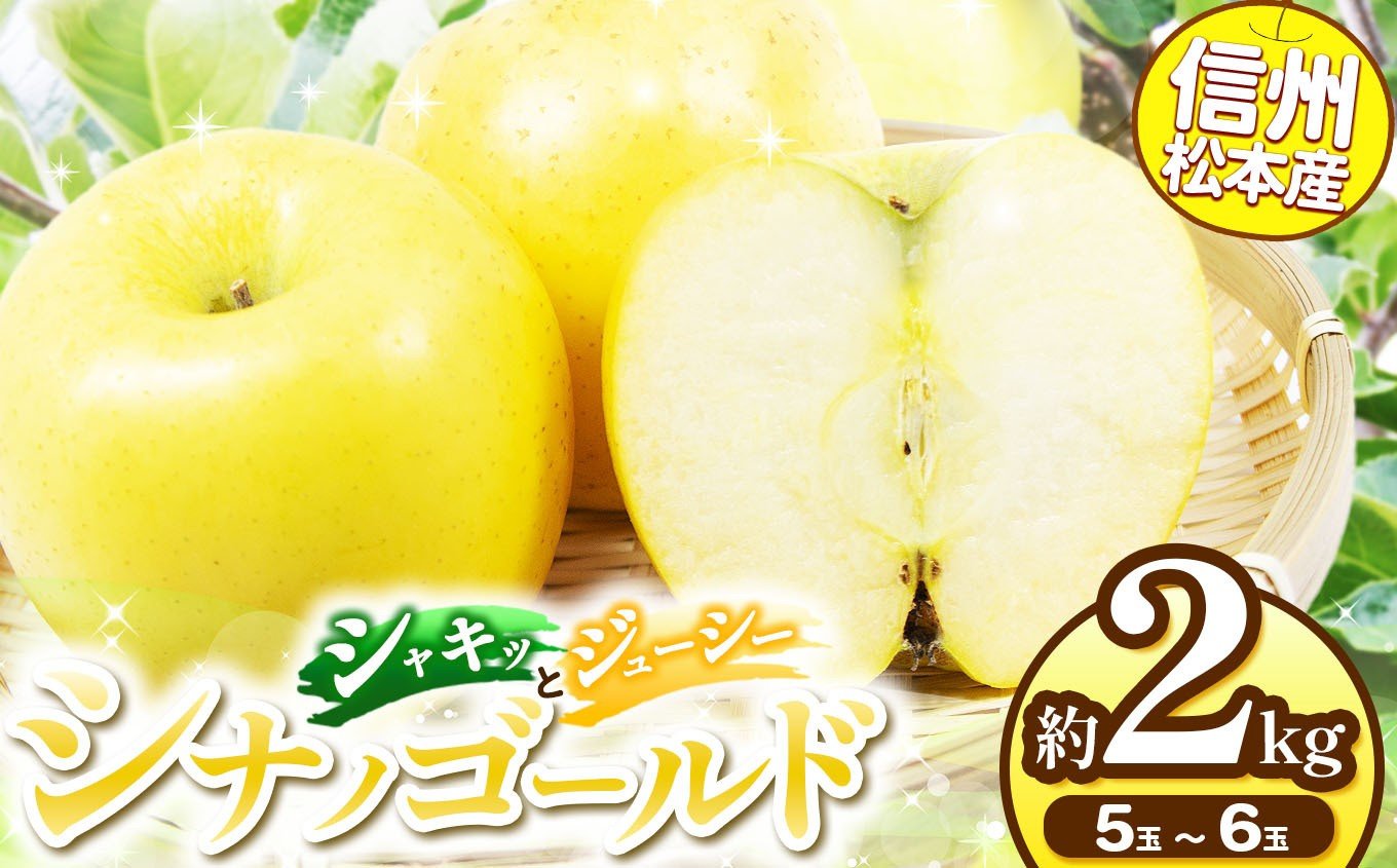 
            【先行受付：2026年発送】信州松本産　シナノゴールド　5～6玉約2kg 通常品 │ 林檎 りんご リンゴ シナノゴールド 果汁 果物 貴重 くだもの フルーツ 自然 旬 ご褒美 長野県 信州 松本 ふるさと納税
          