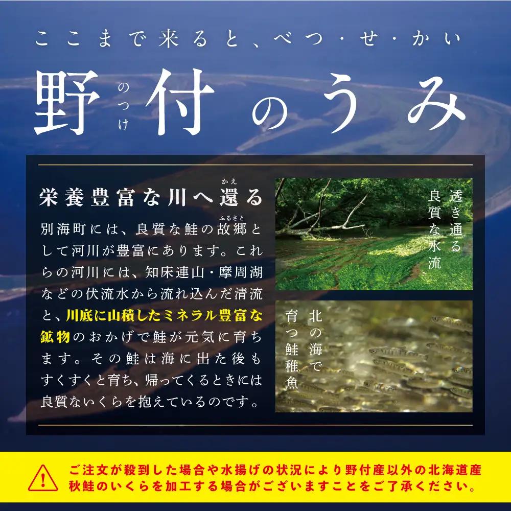 北海道産いくら 醤油漬け 500g いくら
