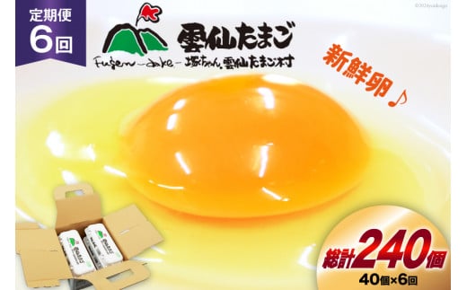 BI032 6回 定期便 雲仙たまごLサイズ 40個 (10個入り×4パック) (37個＋割れ補償3個入り) [ 卵 たまご 生卵 鶏卵 赤卵 玉子 新鮮 塚ちゃん雲仙たまご村 長崎県 島原市 ]