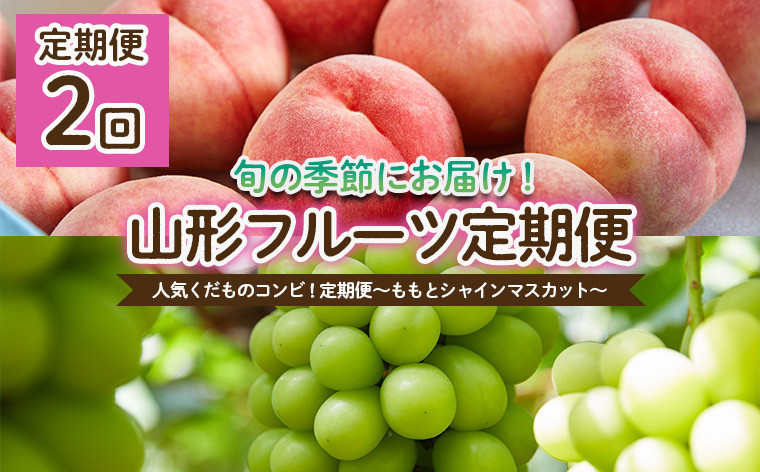 
            【定期便2回】人気くだものコンビ！定期便～ももとシャインマスカット～ 【令和7年産先行予約】FU22-022 くだもの 果物 フルーツ 山形 山形県 山形市 2025年産
          