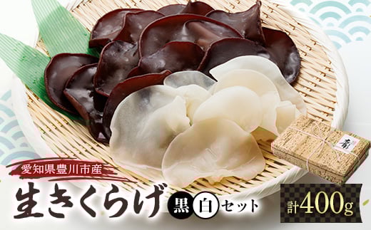 
豊川産　生きくらげ　朝採りたての選りすぐり　黒300g・白100g【1426312】
