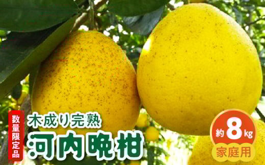 68-55　進栄　農薬を使わず栽培!!　木成り河内晩柑（家庭用）約8kg