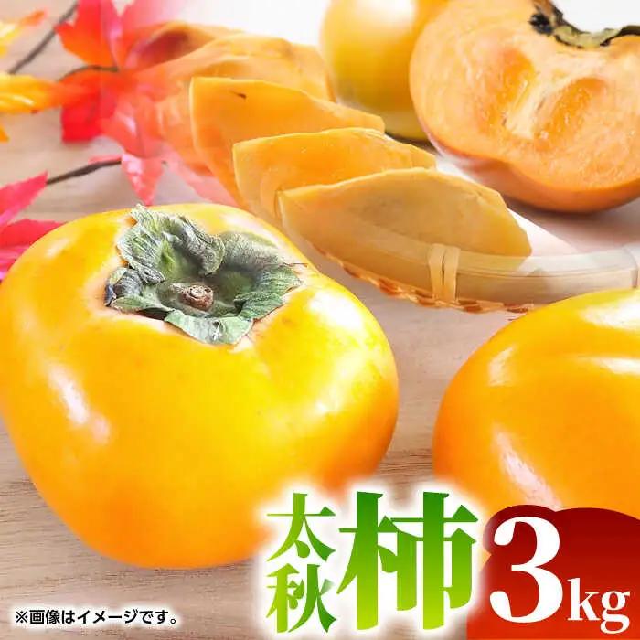 【先行予約】太秋 柿 約3kg【くまふる】[ZBG075]