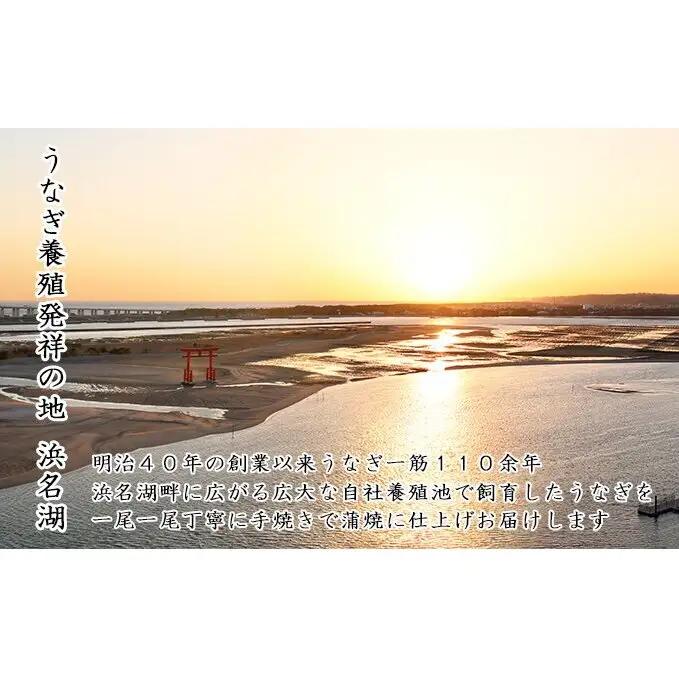 うなぎ 浜松 ウナギ 蒲焼 120g × 4尾 （計480g） 国産 浜名湖 国産うなぎ うなぎの蒲焼 土用の丑の日 丑の日 魚 魚介 魚介類 惣菜 おかず おつまみ つまみ 丼 小分け セット 鰻 