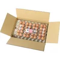 【希少品種】岡崎おうはん 紅花の卵 10個入×4パック【冷蔵配送】 / 田辺市 卵 たまご 有精卵 純国産鶏 鶏卵 平飼い お取り寄せ 卵かけごはん 和歌山県 【kag005】