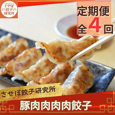 ふるさと納税 佐世保市 【発送月固定定期便】させぼ餃子研究所 豚肉肉肉肉餃子 計96個×全4回