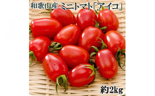 【2026年12月出荷分】和歌山産ミニトマト「アイコトマト」約2kg（S・Mサイズおまかせ）