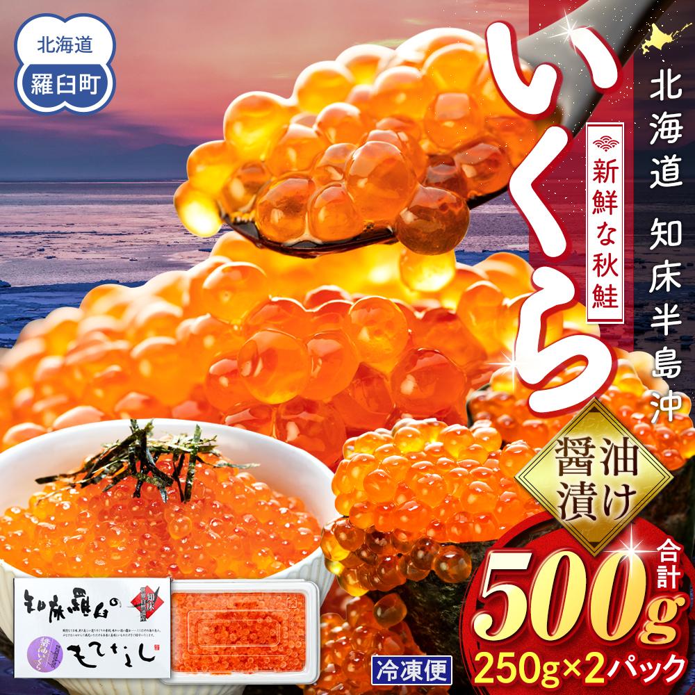 【ふるさと納税】【先行予約/11月より発送】いくら醤油漬け 500g（250g×2パック） イクラ 魚卵 いくら丼 海鮮丼 ご飯のお供 羅臼町 北海道 生産者 支援 応援
