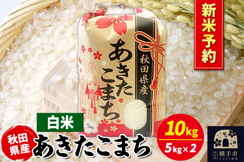 《令和7年産 新米受付》あきたこまち 10kg（5kg×2袋）【白米】秋田県産 こまちライン