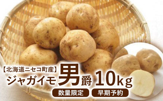 【北海道ニセコ町産】ジャガイモ　男爵　10kg　＜数量限定・2024年早期予約・9月末より出荷予定＞【02025】