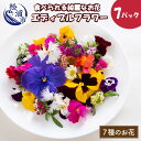 【ふるさと納税】食べられる綺麗なお花 エディブルフラワー【B1-129】 花 お花 フラワー エディブルフラワー 食用花 食用