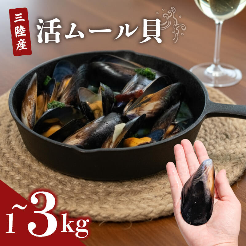 【ふるさと納税】 国産 活ムール貝 選べる 1kg～3kg 冷蔵 ムール貝 ムラサキ貝 しゅうり貝 殻付き 新鮮 産地直送 旬 お取り寄せ グルメ 魚介類 魚貝類 ワイン 酒蒸し パスタ パエリア スープ カレー 出汁 料理 パーティー 三陸 岩手県 大船渡市 10000円 5000円 送料無料