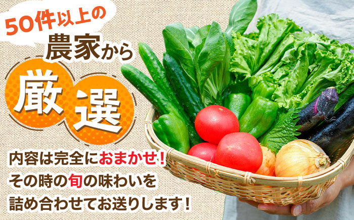 【全6回定期便】農家セレクト！特別栽培 日田の厳選食材 詰め合わせ 日田市 / 自然工房Mori 野菜 果物 米 産地直送 新鮮 セット [ARBR003]