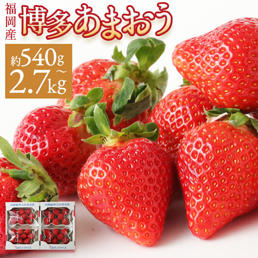 【ふるさと納税】いちご あまおう 1パック約270g 2パック/4パック/6パック/8パック/10パック 約540g/約1kg/約1.62kg/約2.16kg/約2.7kg 選べる内容量 イチゴ 苺 果物 くだもの フルーツ 福岡県産 九州 送料無料 選べる発送月【2025年12月上旬～2026年3月下旬に順次発送予定】